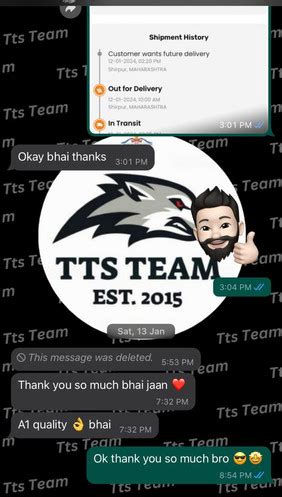 ttsteam.in